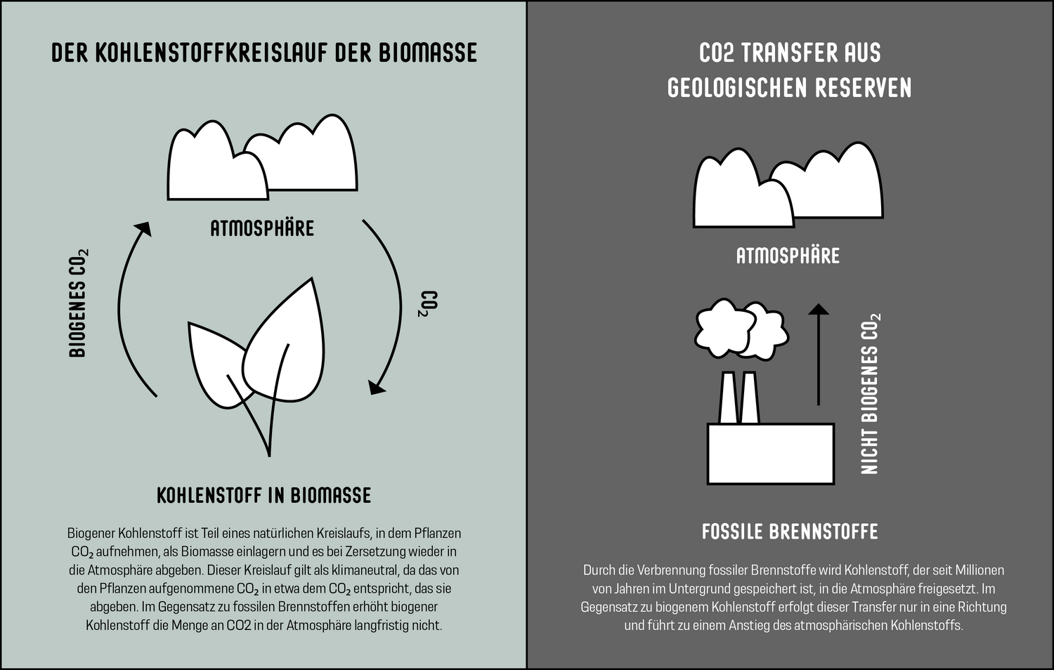 Wie sich die Produktionsprozesse für Bio-CO2 und CO2 auf Basis fossiler Rohstoffe unterscheiden