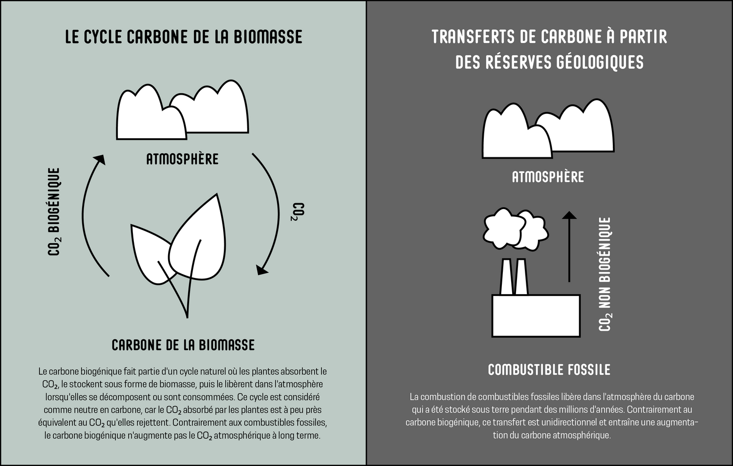 En quoi les processus de production de bio-co2 et de co2 à partir de matières premières fossiles diffèrent