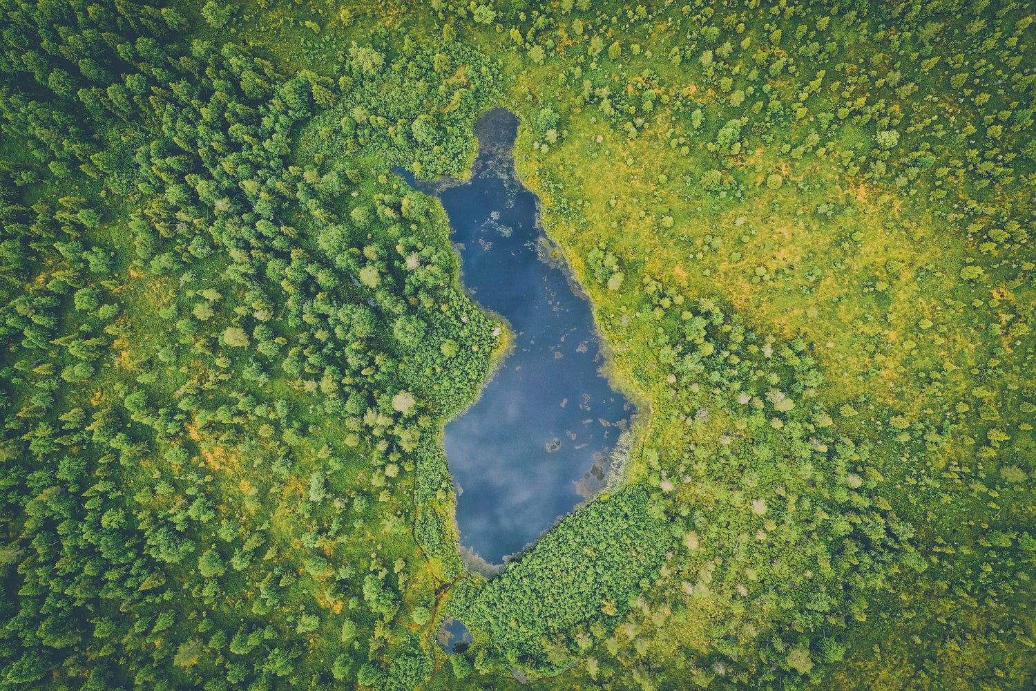 A lake shaped like Finland surrounded by trees viewed from above