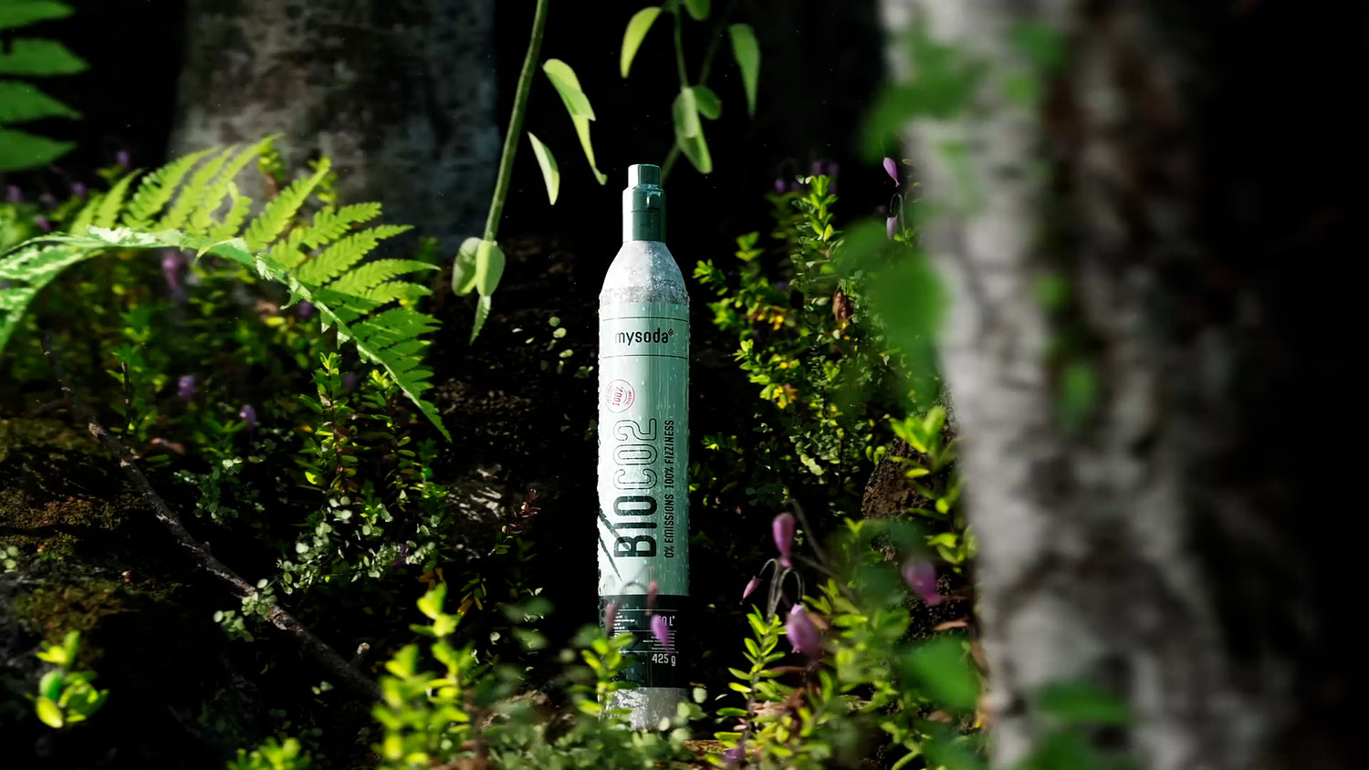 A Mysoda Bio-CO2 cylinder in a forest setting