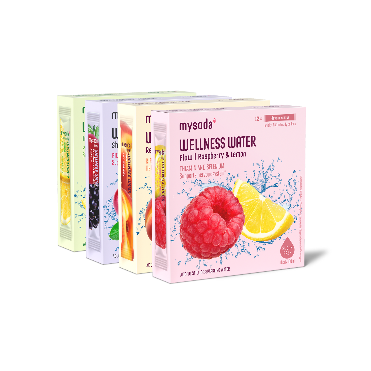 Wellness Water 4er-Pack Mix