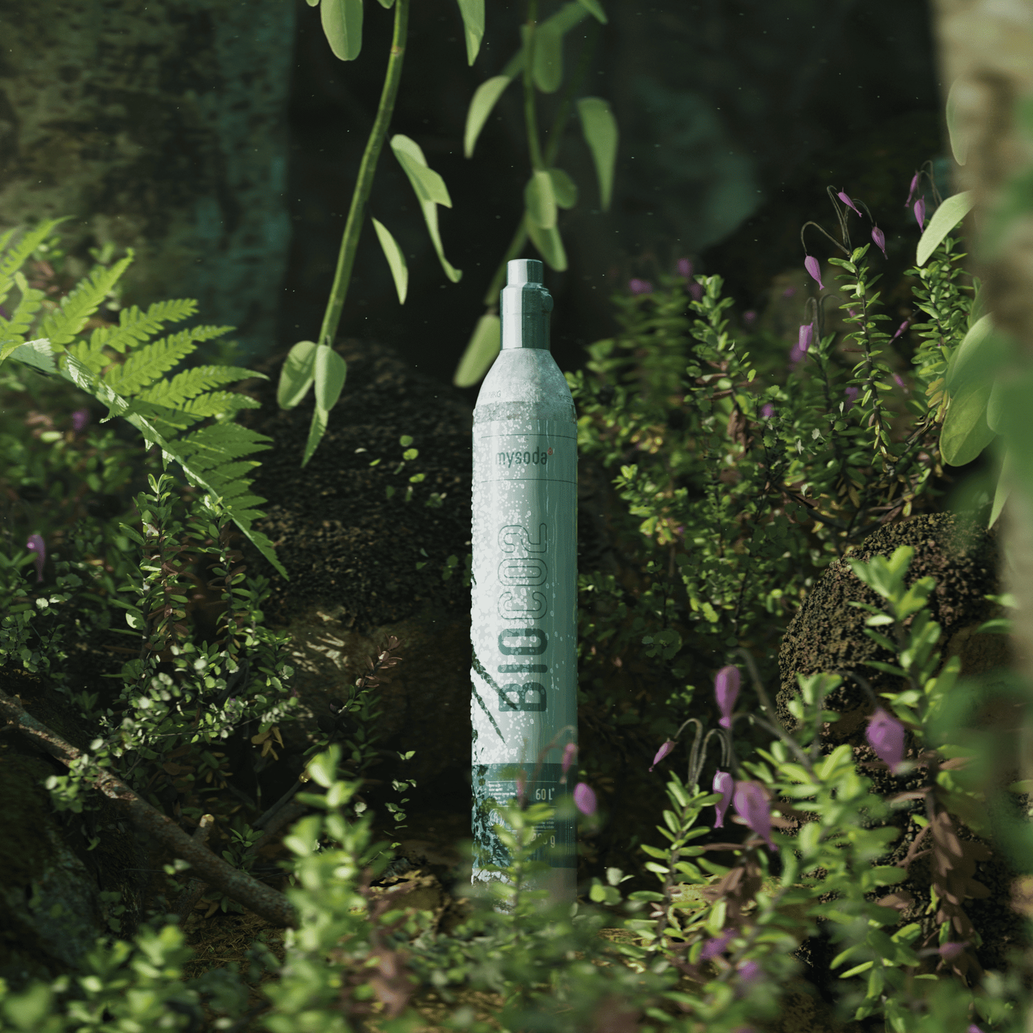 A bio-co2 cylinder for sparkling water makers in a forest setting