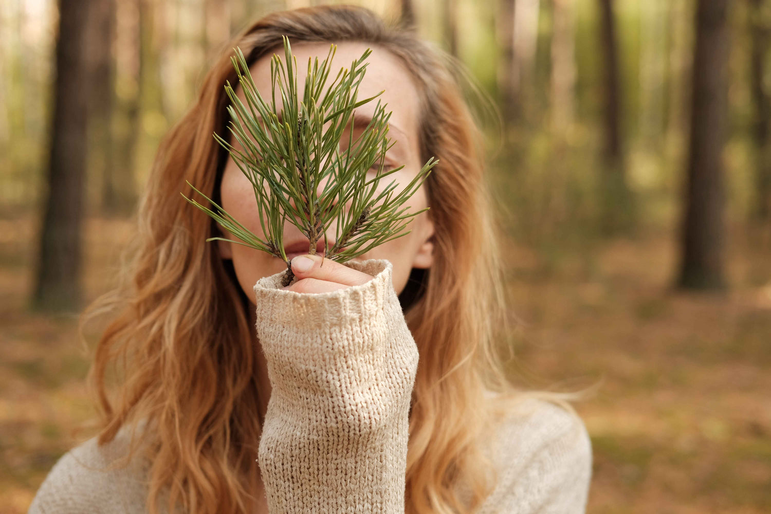 A woman in a forest smelling on the twig of a pine tree